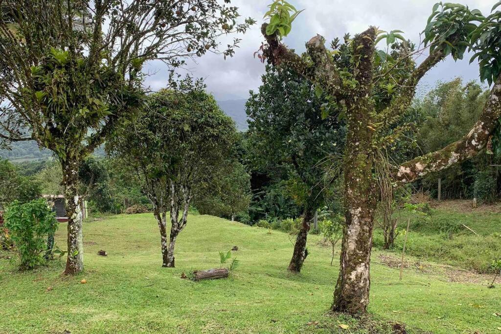 972B-Coin De Verdure Au Pied De La Montagne Pelee Le Morne Rouge Kültér fotó